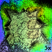 5x (DDR X-Series Volume 5)