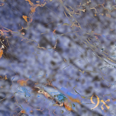 9x (DDR X-Series Volume 9)